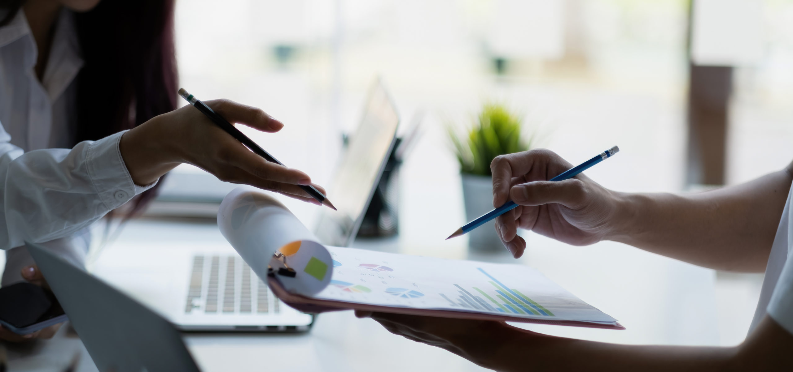 What Is A Watchdog In Business